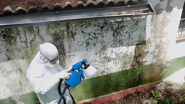 Trusted Mold Inspection service in Bladensburg, MD - Cheap Mold Removal